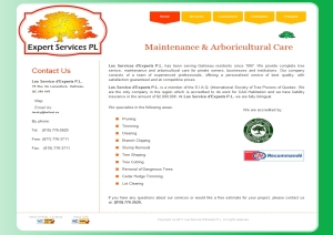 Les Services d'Experts -  website design by SynergicWebs
