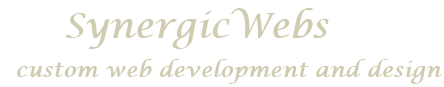 SynergicWebs Logo -  Custom Web Design and Development, Ottawa