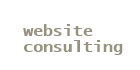 SynergicWebs, Ottawa website consulting